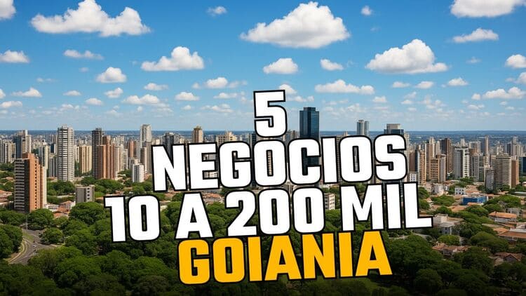 5 Negócios que Estão em Alta em Goiânia