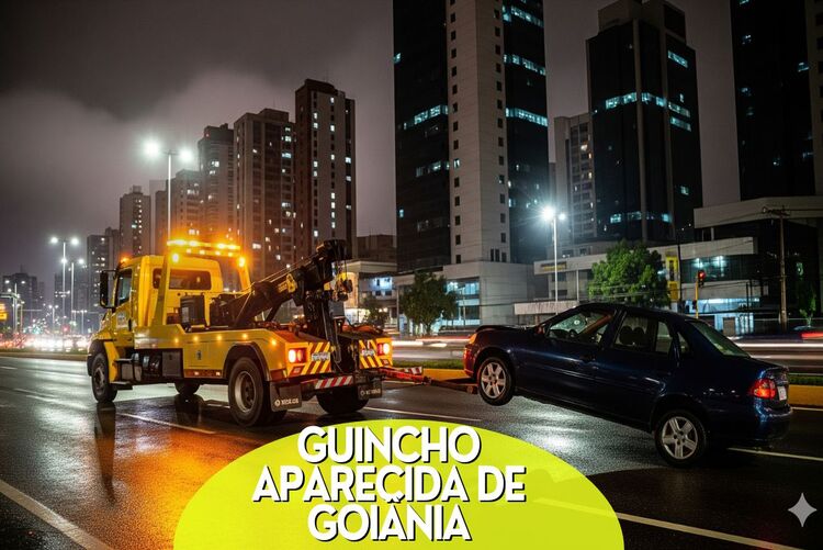 guincho aparecida de goiânia