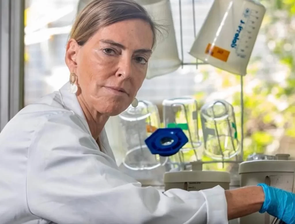 tratamento brasileiro revoluciona neurociência, polilaminina, regeneração neural, lesão medular, tetraplegia, paraplegia