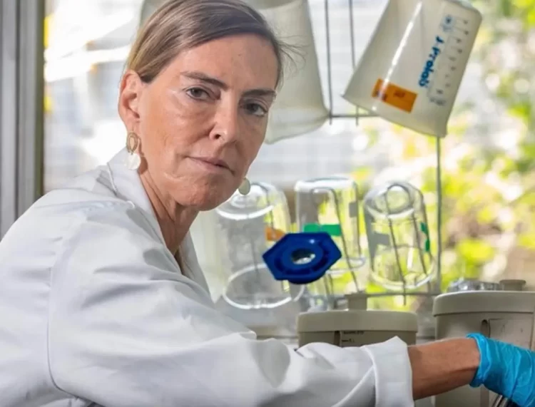 tratamento brasileiro revoluciona neurociência, polilaminina, regeneração neural, lesão medular, tetraplegia, paraplegia
